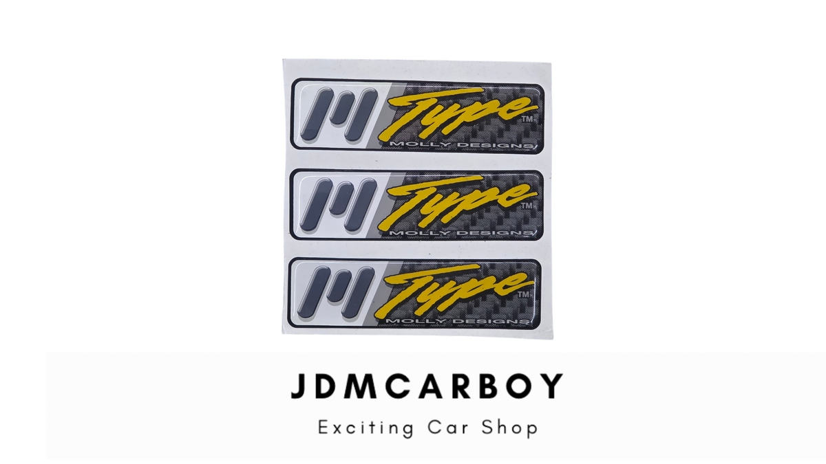 1995-1998 Tercel 2DR M-Type Molly Designs Polyurethane Ground Effects Kit